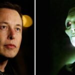 Does Elon Musk believe in the presence of aliens? ‘I think I would know if…’
