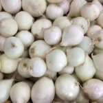 Government gives relaxation on export of white onion, shipment will be done in fixed quantity from three ports
