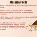 Malaria: Why aren’t case numbers falling?