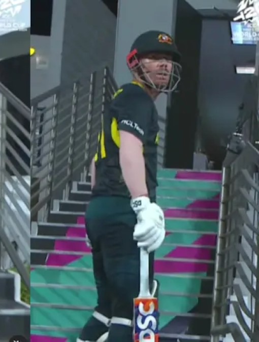 David Warner