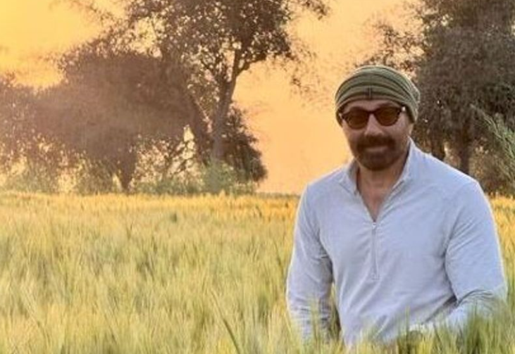 sunny deol