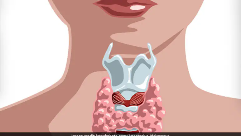 thyroid