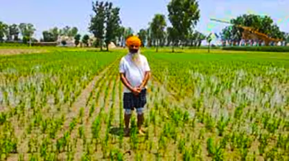 farmers