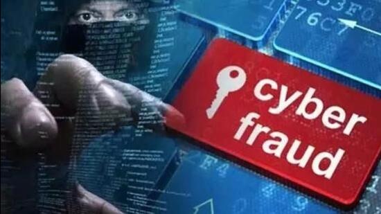 cyber fraud